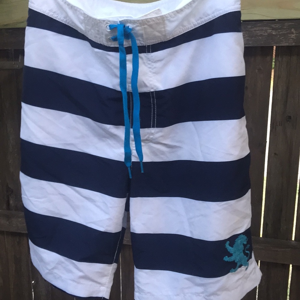 Express Blue white broad stripe Board shorts